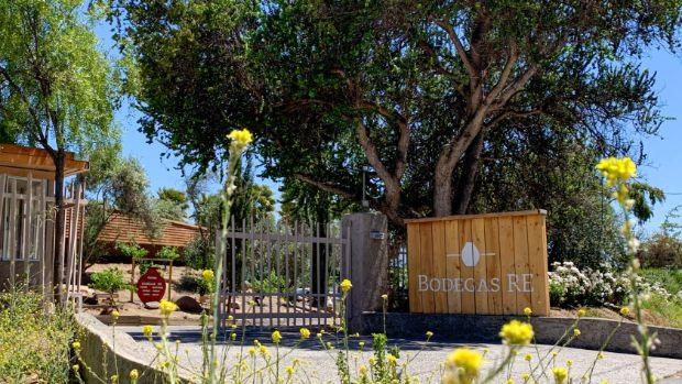 Isla Negra com Vinhedo em Casablanca — 3