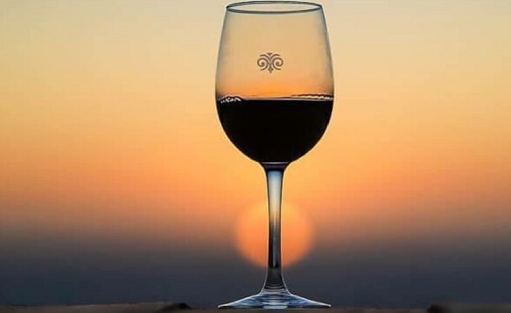 Vinhedos de Colchagua & Cachapoal — 5