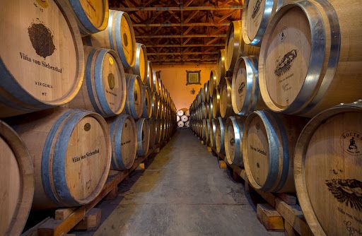 Vinhedos do Valle de Aconcágua — 3