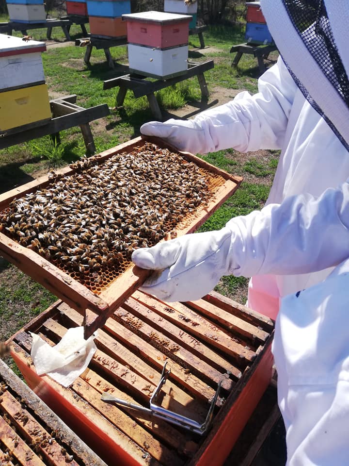 Apiário Colmenares Fide & Vinícola — 2