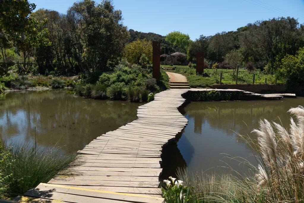 Parque Tricao – Aviário & Humedal — 2