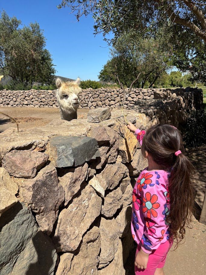 Vinícola em Família com Crianças — 4