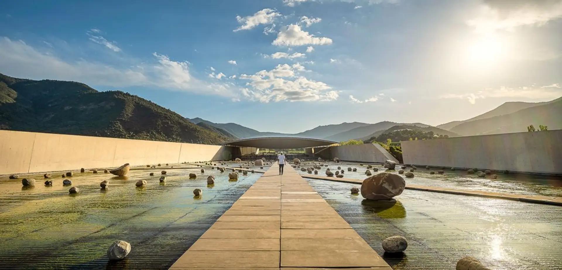 Vinhedos de Colchagua & Cachapoal — 7