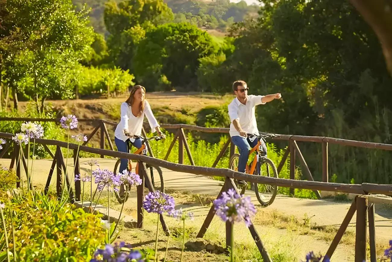 Vinhedos do Valle de Casablanca — 6