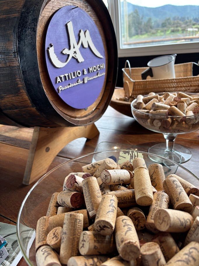 Enoturismo Boutique — 4