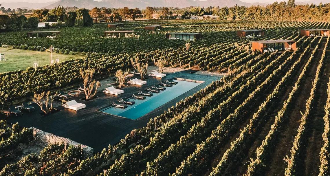 Wine Lovers: 3 Vales — 1