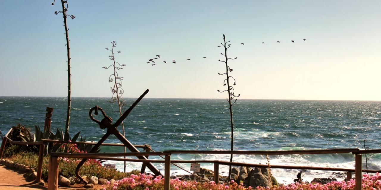 Isla Negra com Vinhedo em Casablanca