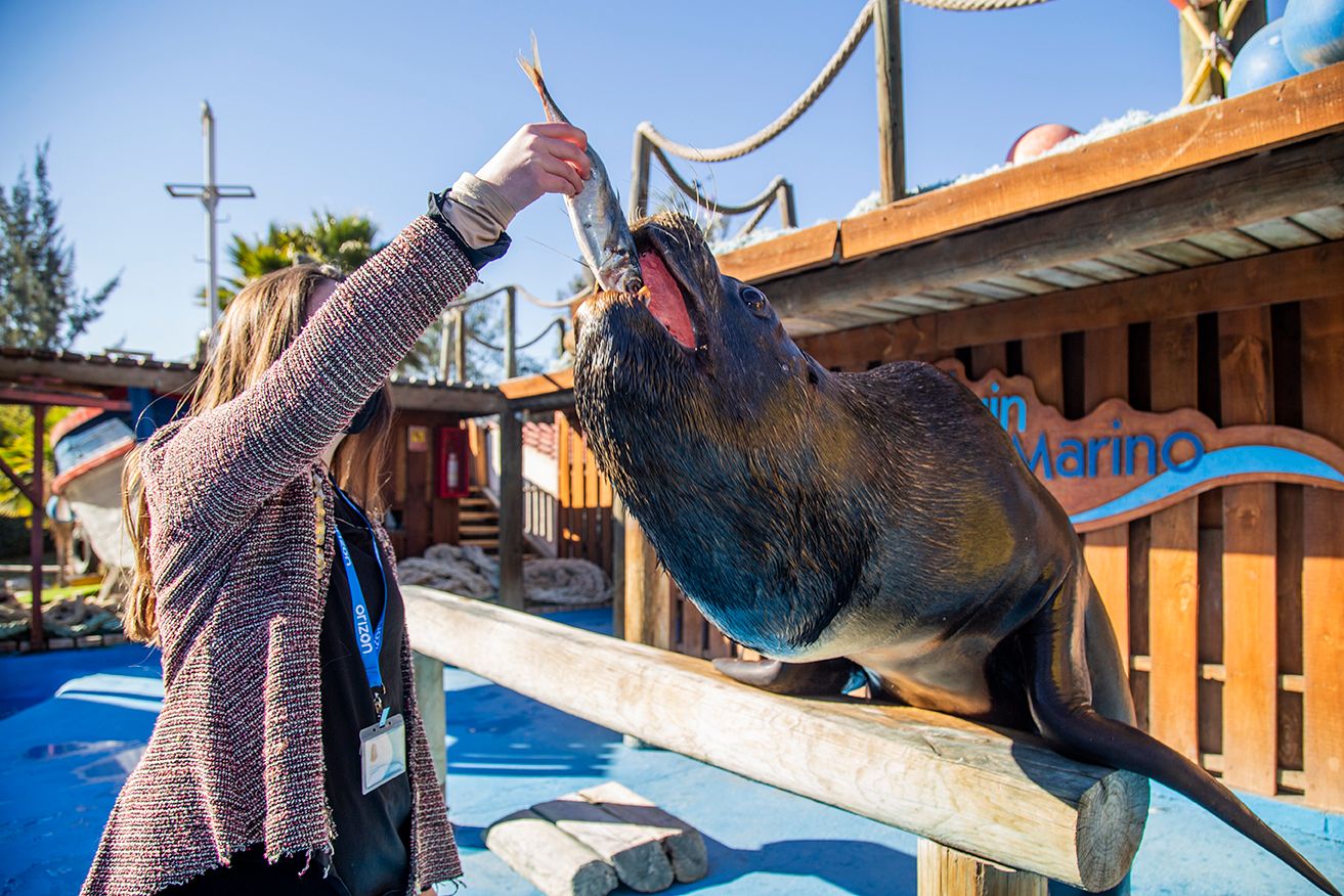 Família Aventura — 3