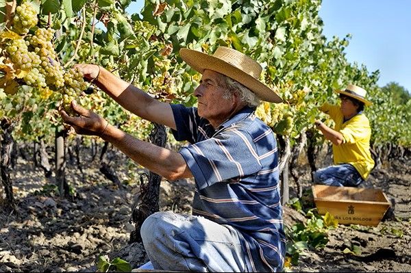 Diferenciação a Tua Medida — 2