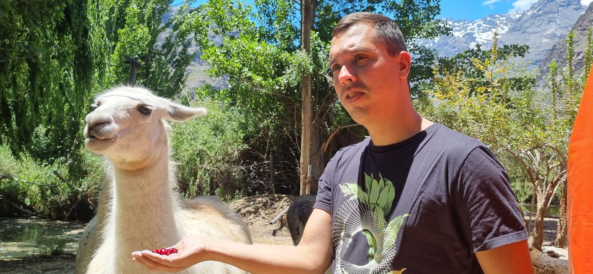 Vinícola em Família com Crianças — 5