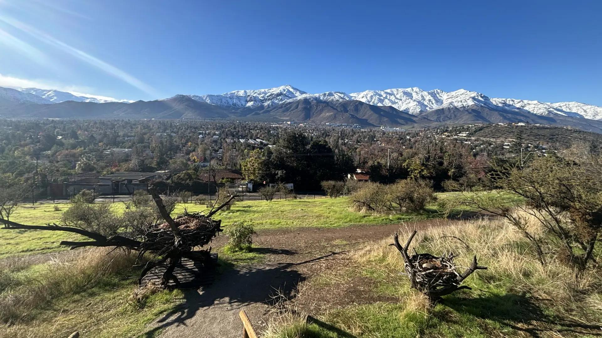 City Tour Santiago e Cerro Calán: História, Cultura e Andes