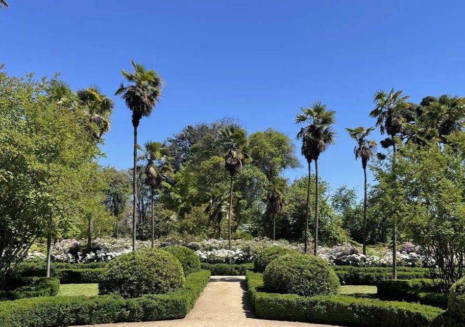 Cultura, Neve, Arte & Vinho — 4