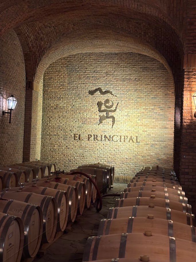 Vinhedos do Valle del Maipo — 2