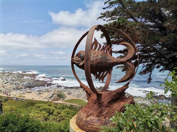 Isla Negra com Vinhedo em Casablanca — 2