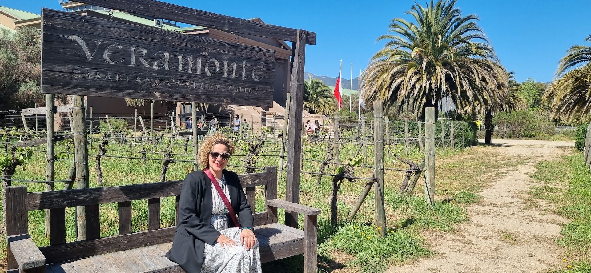 Casino & Vinícola em Viña del Mar — 3