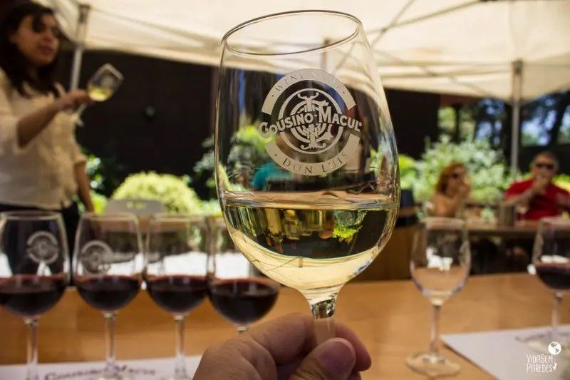 City Tour Santiago + Cousiño Macul — 3