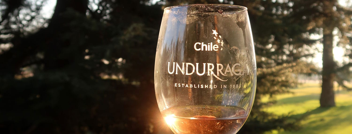 Viña Undurraga & Algarrobo — 4