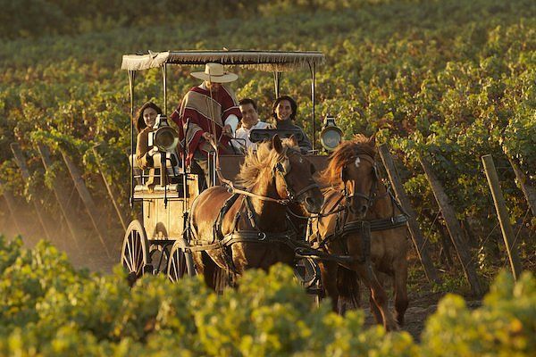Vinícola em Família com Crianças