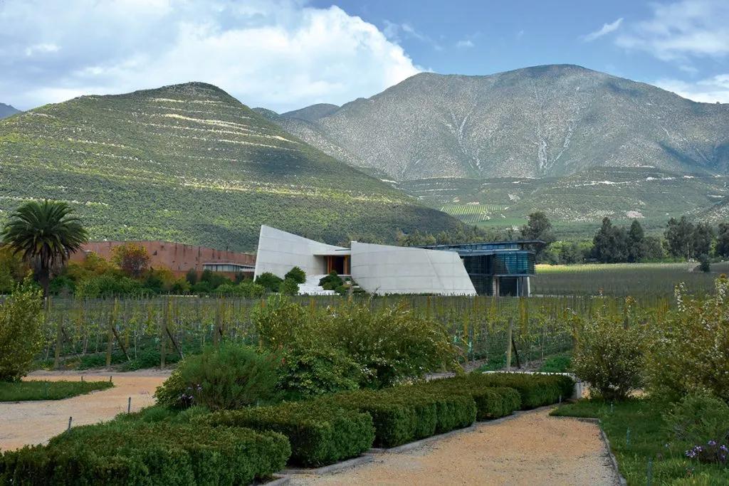 Vinhedos do Valle de Aconcágua — 1