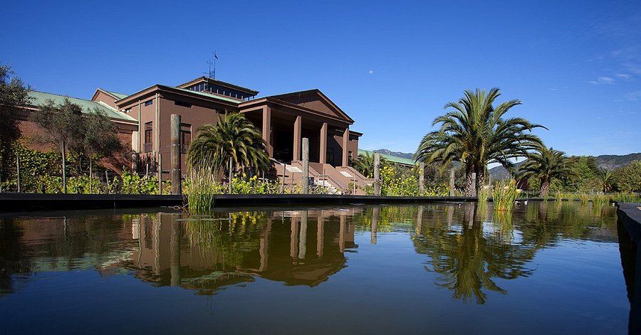 Casino & Vinícola em Viña del Mar — 4