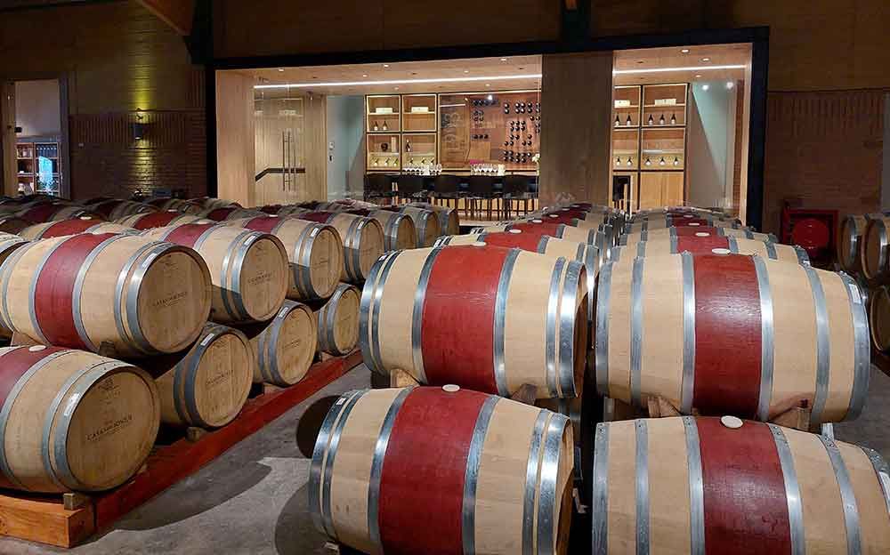 Quintay & Casas del Bosque — 7