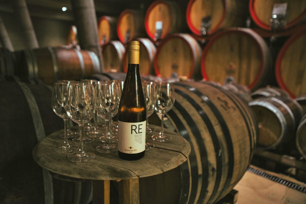 Isla Negra com Vinhedo em Casablanca — 4