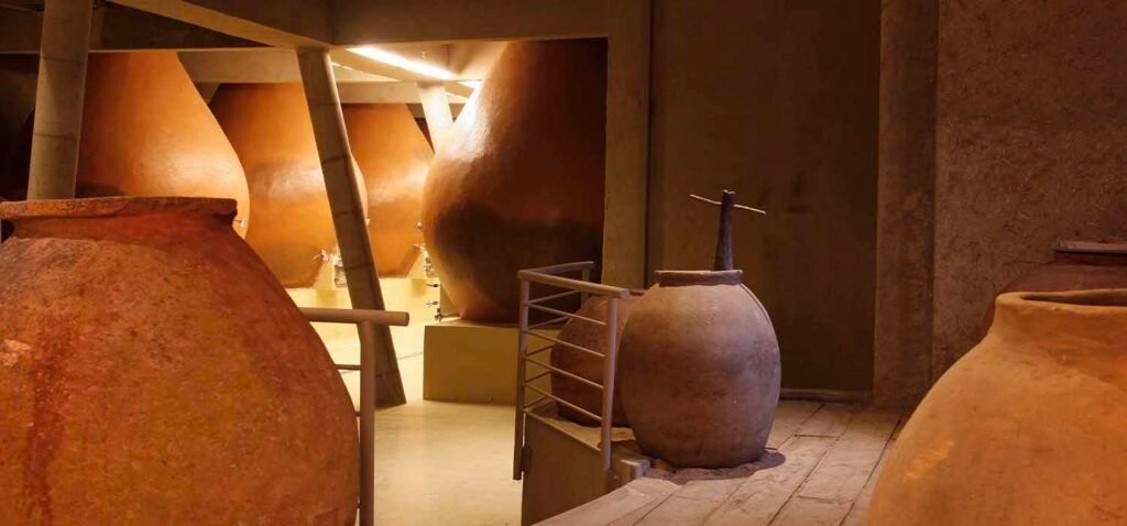 Isla Negra com Vinhedo em Casablanca — 5