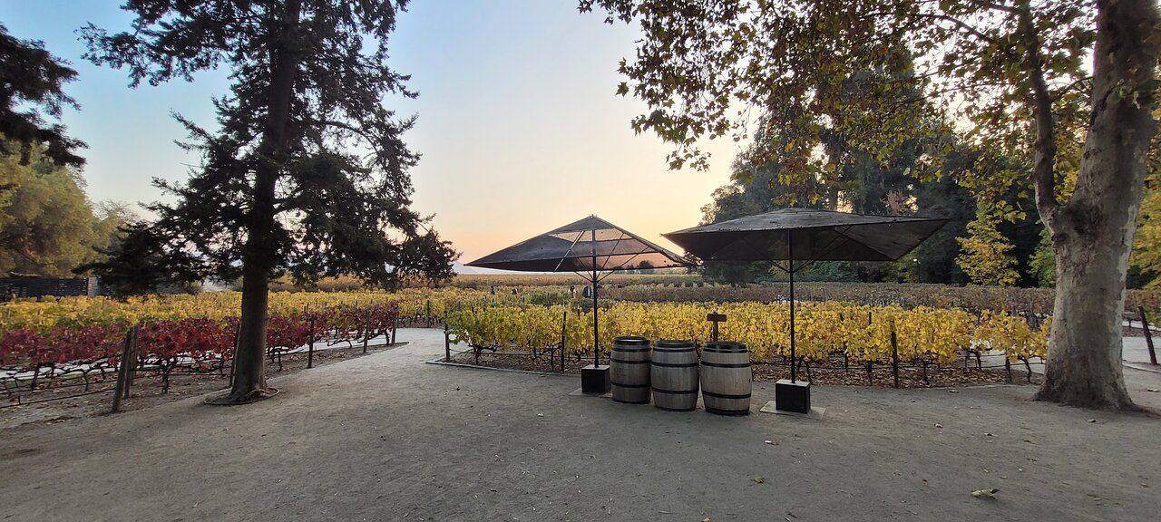 Cajón del Maipo + Concha y Toro — 4