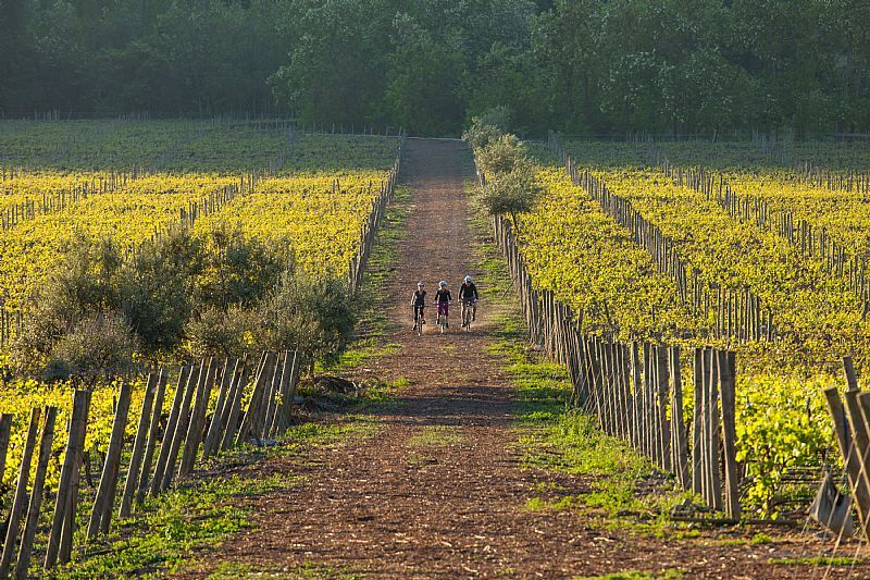 Quintay & Casas del Bosque — 8