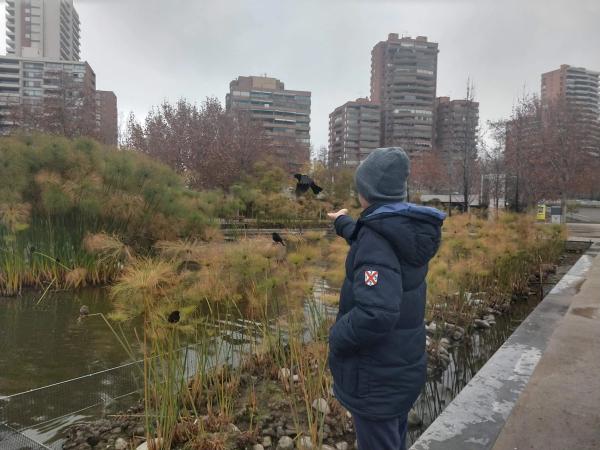 City Tour Santiago & Parque Bicentenário — 4