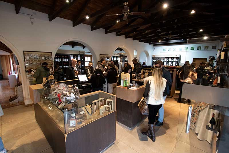 Vinhedos do Valle del Maipo — 4