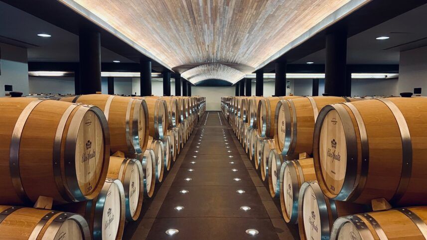 Vinhedos de Colchagua & Cachapoal — 3