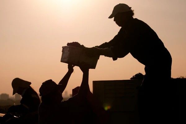 City Tour Santiago + Cousiño Macul — 1