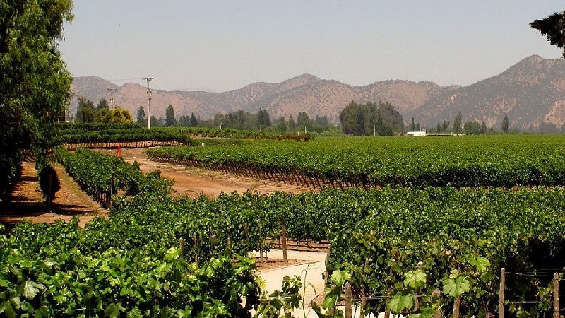 City Tour Santiago + Concha y Toro