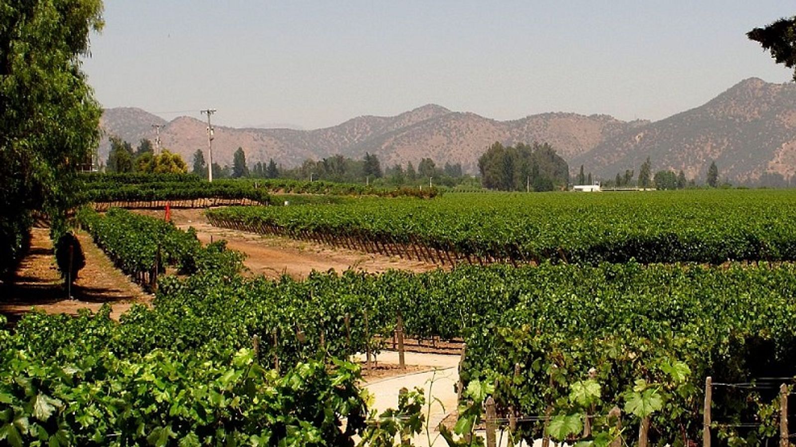 City Tour Santiago + Concha y Toro