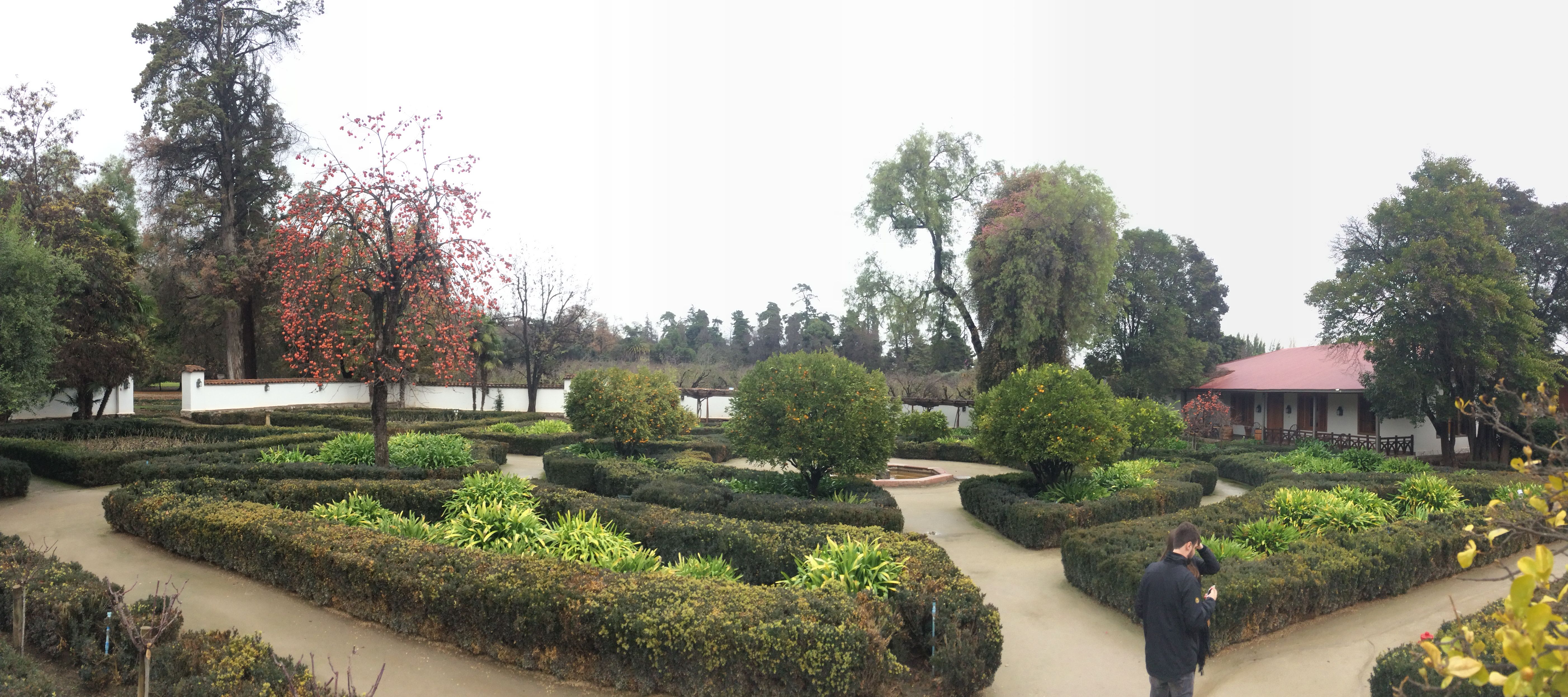 Vinhedos do Valle del Maipo — 3