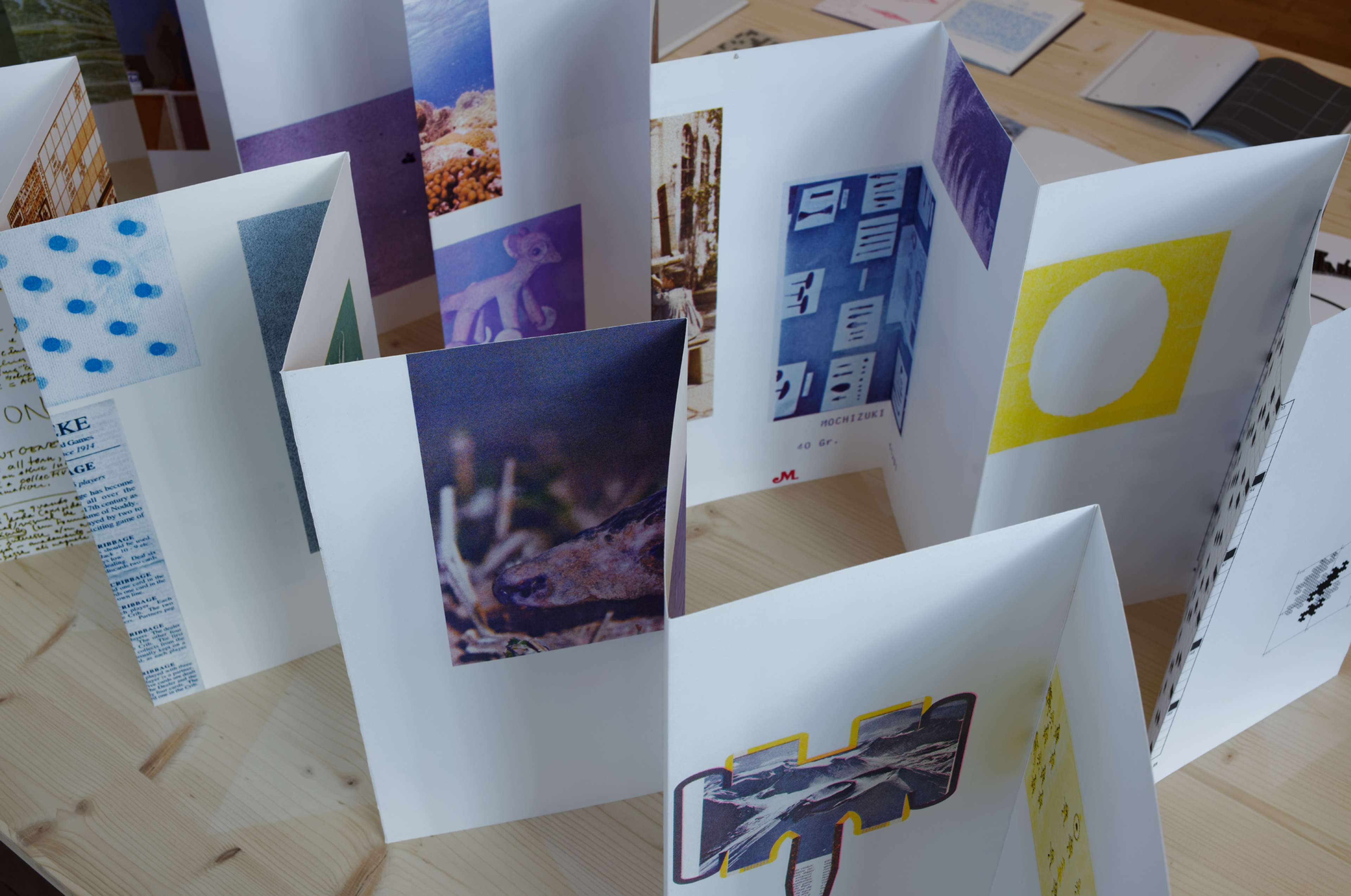 This publication presents a selection of images from the artist’s personal archive, gathered into a leporello-style publication.