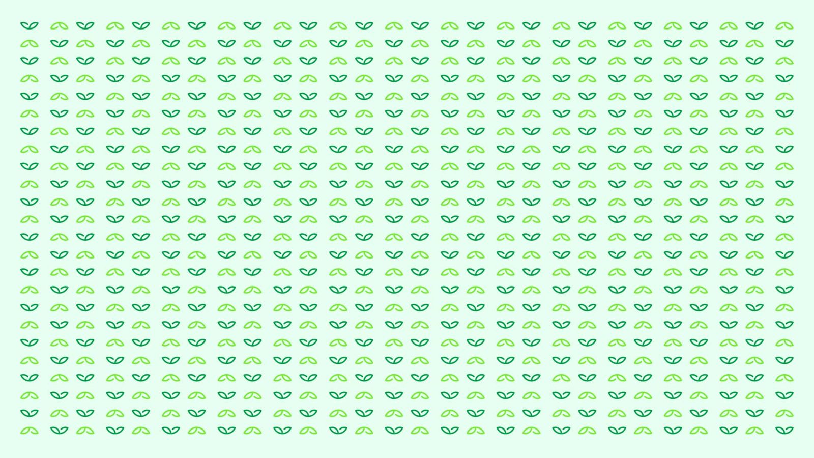 Patrón gráfico en blanco de Sembrá con hojas ilustrativas para branding