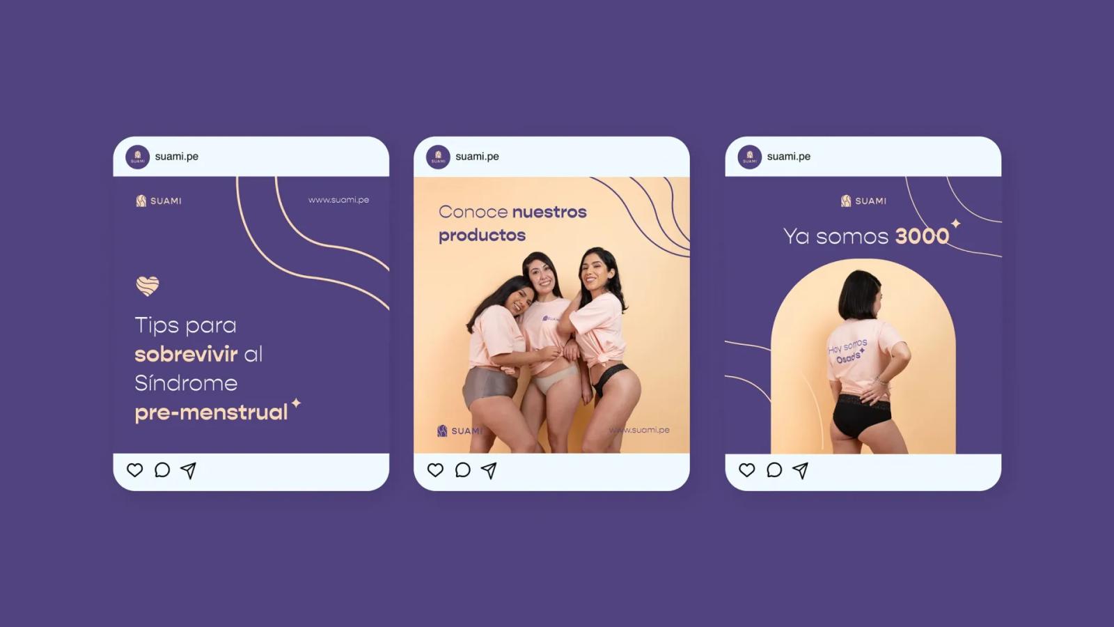 Post de redes sociales mostrando productos de la marca en versión escritorio