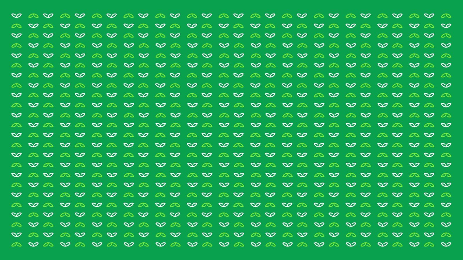 Patrón gráfico en verde de Sembrá con hojas ilustrativas para branding