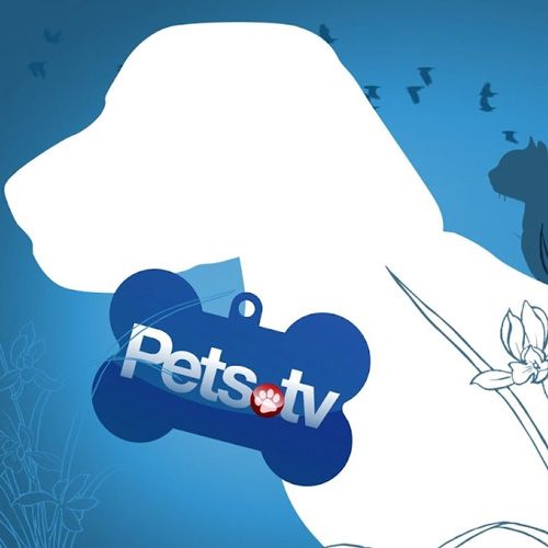 Pets TV