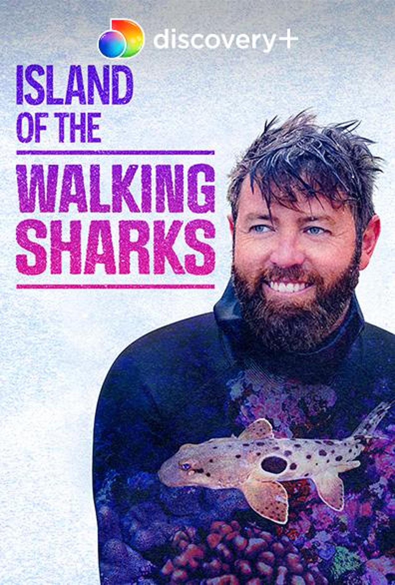 The Island of The Walking Sharks