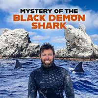 Mystery of the Black Demon Shark