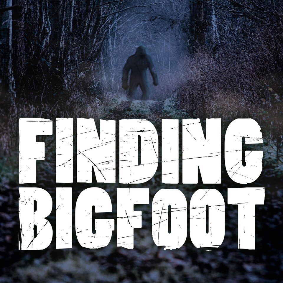 Finding Bigfoot