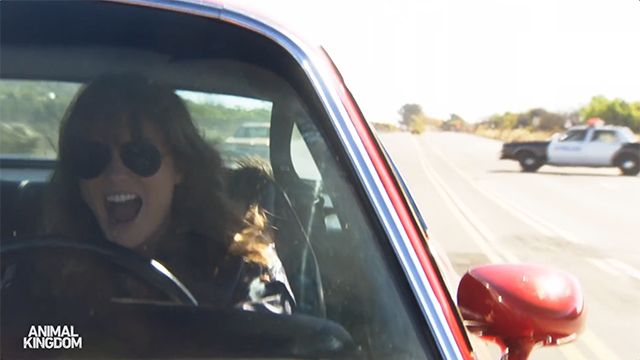 Animal Kingdom Season 5