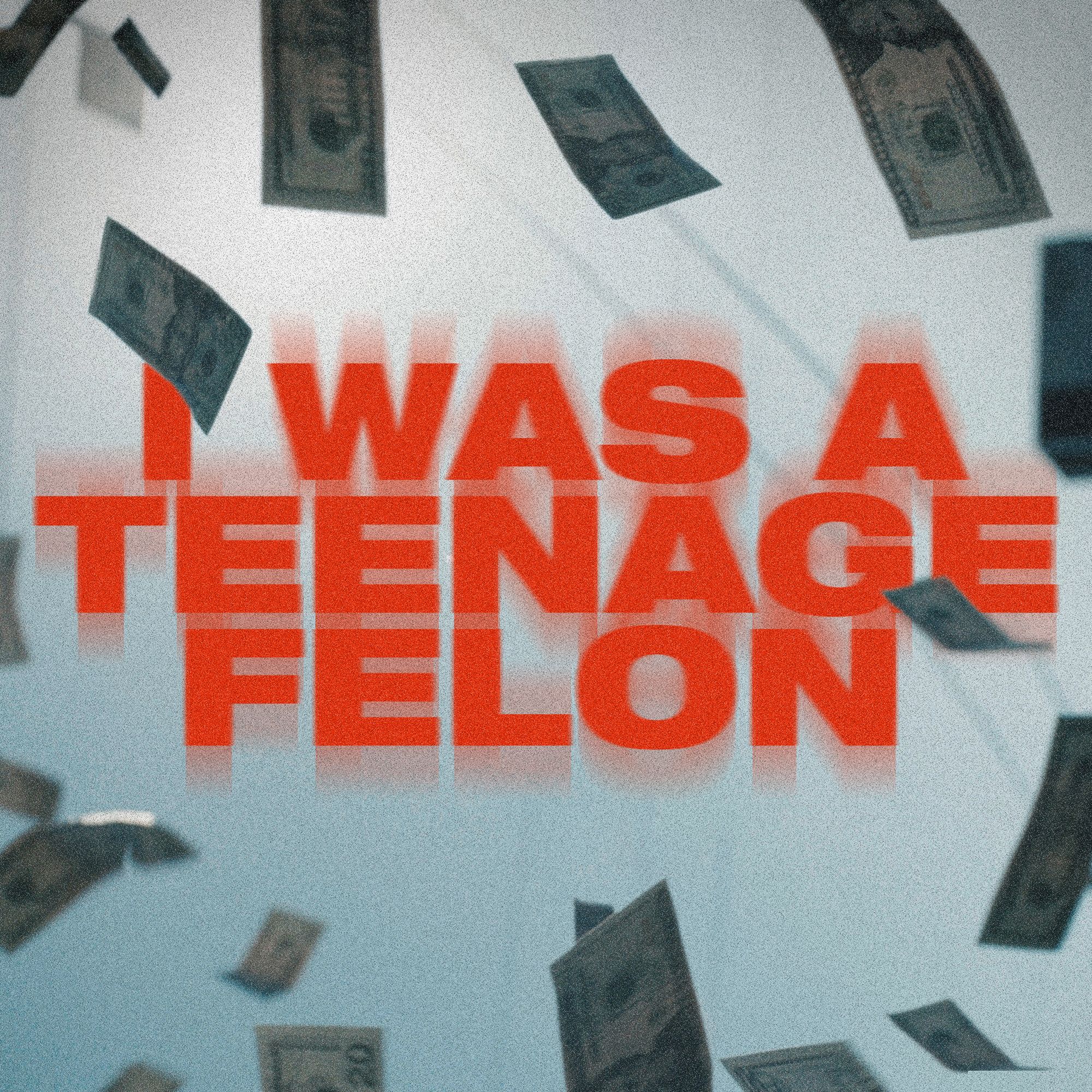 I Was A Teenage Felon