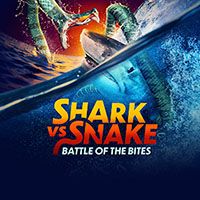 Shark Vs Snake Battle of the Bites