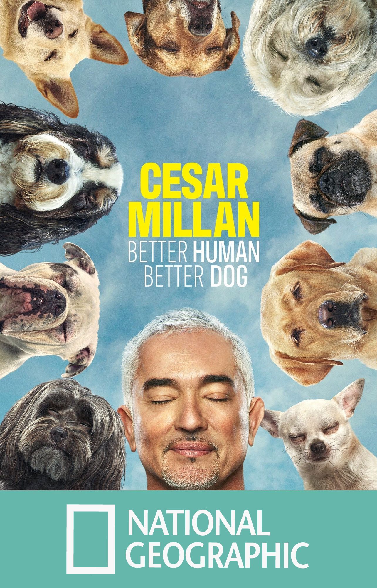 Cesar Millan Better Human Better Dog