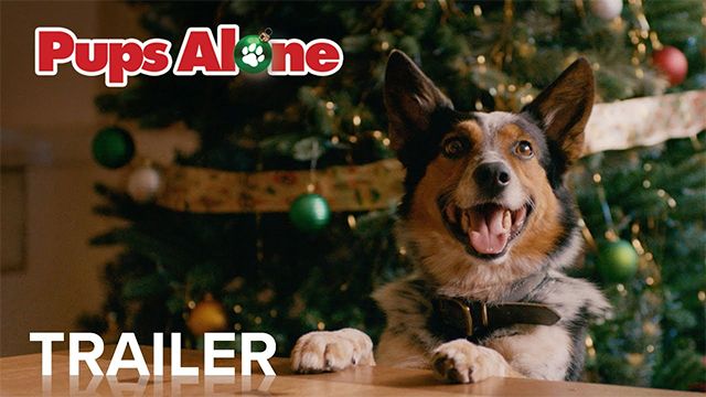 Pups Alone Trailer
