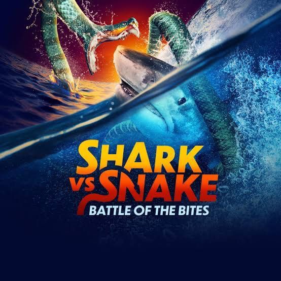 SHARK VS SNAKE